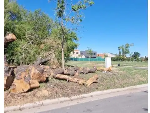 El Molino Lote Al 1000