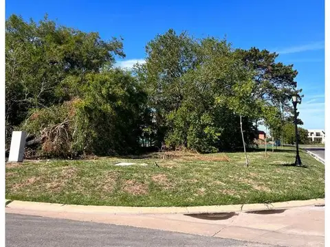 El Molino Lote Al 1000