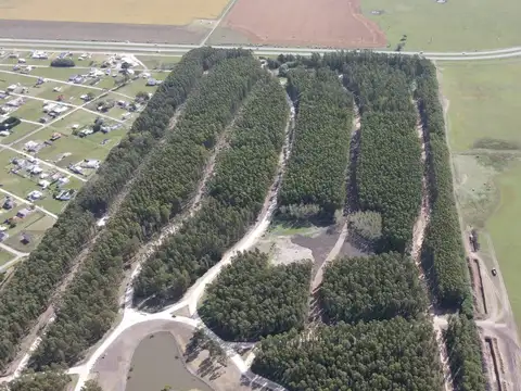 Terreno en Venta de 1000,0 m2