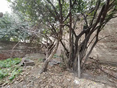 Terreno en Venta 36  mts Fondo