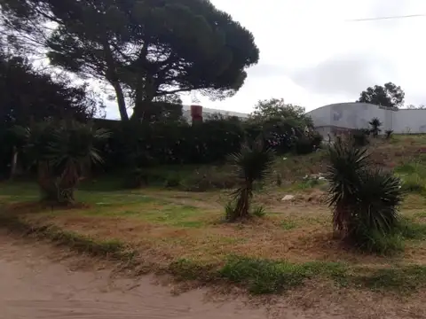 Terreno en Venta 26,25  mts Fondo