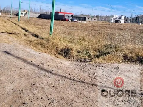 Terreno en Venta 24  mts Fondo