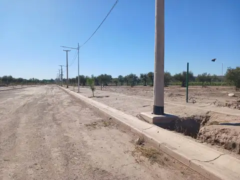 Terrada