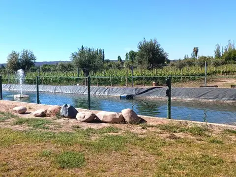 Terreno en Venta de 500,0 m2