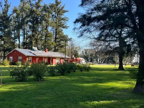 Club de Campo Tres Pinos  0