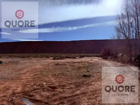 Hectáreas en alquiler, frente a ruta 17, Añelo