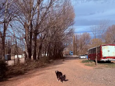 Terreno en Alquiler en Añelo, USD 3.200