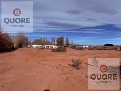 Hectáreas en alquiler, frente a ruta 17, Añelo