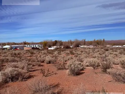 Ruta 17