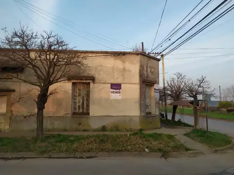 Independencia 100