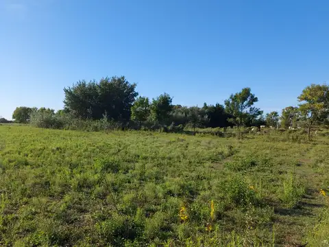 Terreno en Venta de 56000,0 m2