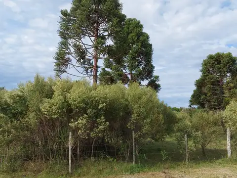 Vendo excelente lote en Barrio Cerrado El Chaja  Zarate