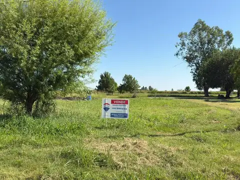 VENTA DE LOTE AL NORTE DE NUEVO TORINO