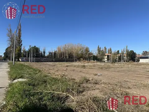 Terreno en Venta 10  mts Frente