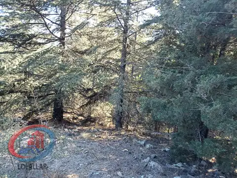 Camino a La Quintana