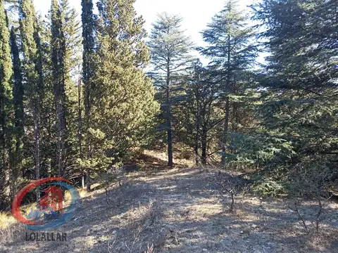 LOTES EN HERMOSO PINAR, VILLA CIUDAD DE AMERICA