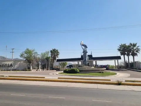 Regalado Olguín 900