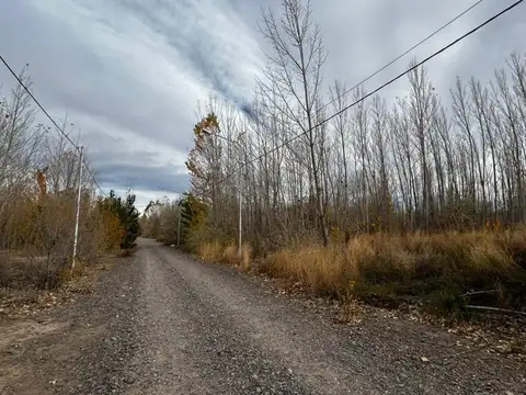 EN VENTA LOTE LA FORESTADA, AÑELO, NEUQUEN
