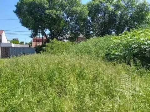 Terreno en Venta 8  mts Frente