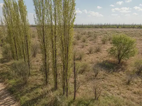 Terreno en Venta en Rama Caida, USD 95.000