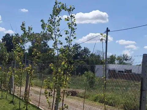 VENTA DE TERRENO EN FINCA LOS CEREZOS - LOS HORNOS