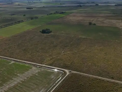 CAMPO AGRÍGOLA/GANADERO EN "LAS MERCEDES" V.OCAMPO
