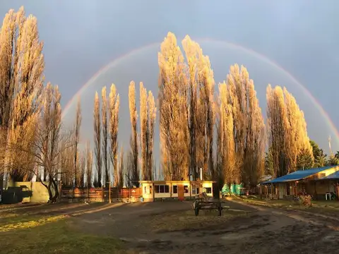 Hosteria y Viñedo en Gualjaina, Chubut Argentina.