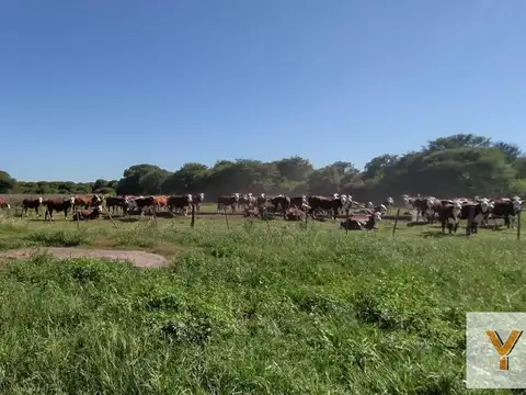 Campo en venta - 6.056 Hectáreas - San Justo