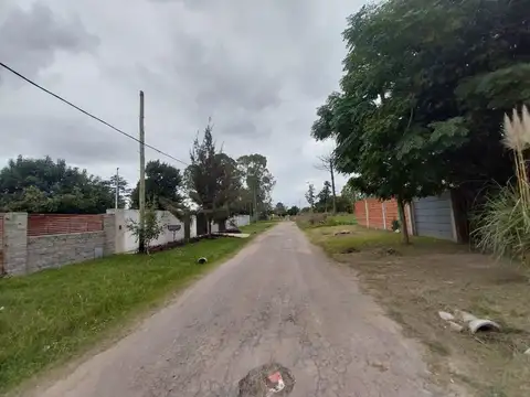 Parodi al 3000