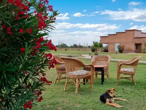 Venta permuta quinta finca turistica en san rafael