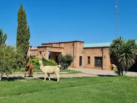 VENTA PERMUTA QUINTA FINCA TURISTICA en SAN RAFAEL
