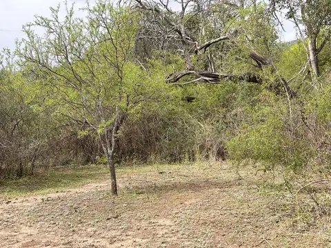 Terreno en venta en La Paz – Valle de Traslasierra