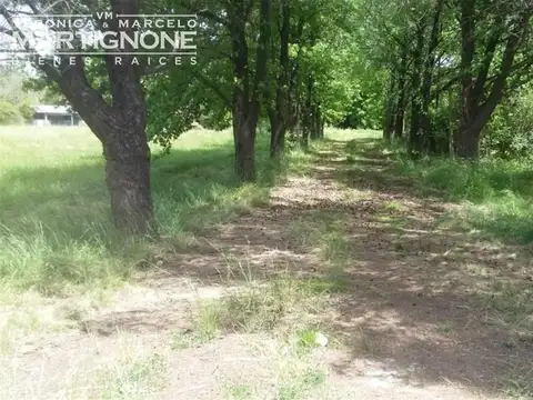 Campo en Venta de 1,29  ha