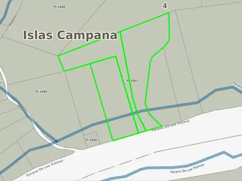 Rio o Arroyo Paraná de Las Palmas Campana 100