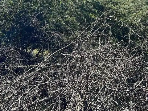 Terreno en Venta en Potrero de Garay, USD 60.000