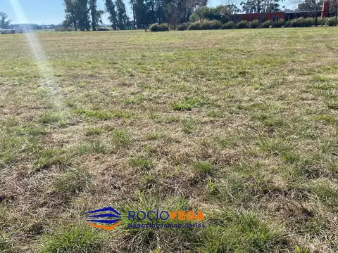 Terreno en Venta 50  mts Fondo