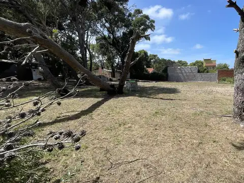 Excelente lote para Inversor!!!