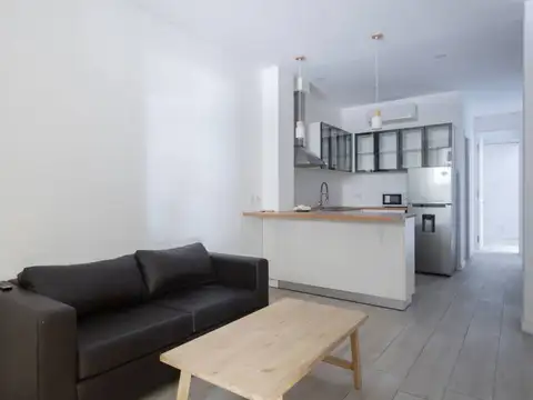 Dr. Luis Agote y Guido