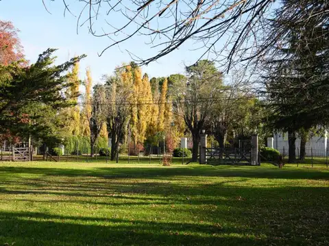 QUINTA EN PARQUE CUMELEN