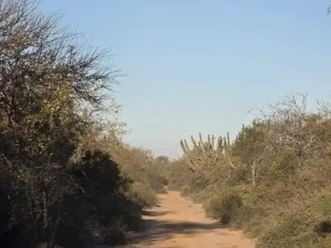 CAMPO EN VENTA  S/RUTA N. 34 - 947 HAS -SGO. DEL ESTERO