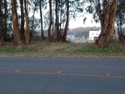 Avenida Juan B. Justo e/ Kramer y Paloma