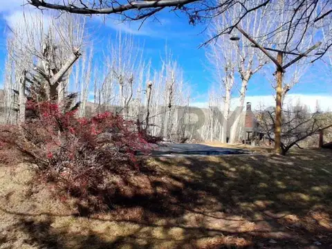 VENTA DE 3 CABAÑAS AMOBLADAS CON PILETA EN LAS VEGAS, POTRERILLOS, MENDOZA.