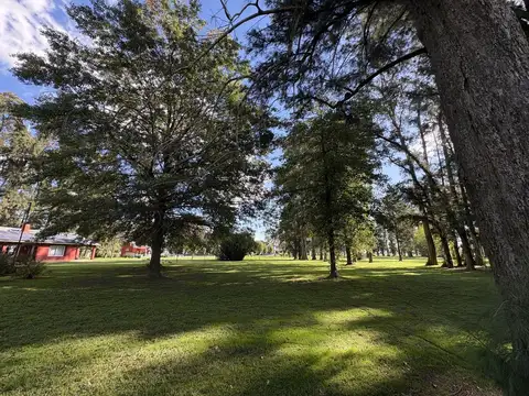 Terreno en Venta de 1200,0 m2