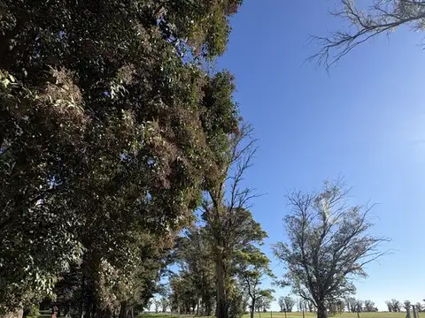 Terreno en Venta de 1200,0 m2
