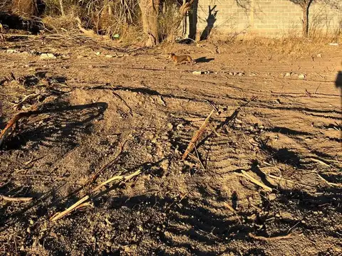 Terreno en venta en Cruz del Eje