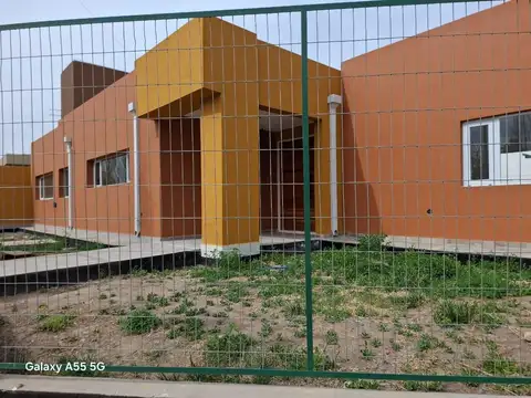 Celestino Del Alma 100