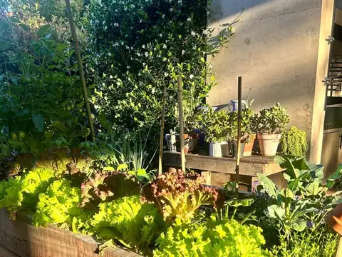 Casa en Alquiler Temporal en La Chacra, USD 6.600