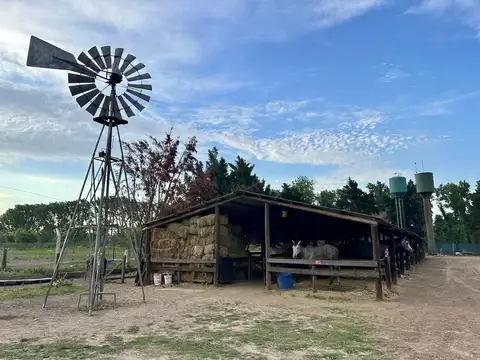 Terreno en Venta en Ibarlucea, USD 189.000