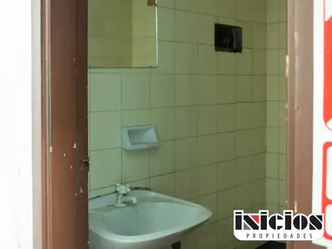 Lebensohn 100