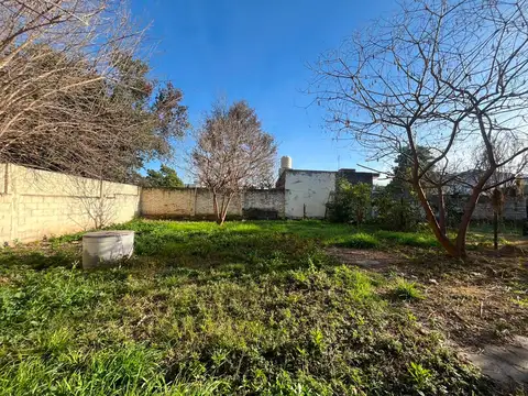 Puelches 7900